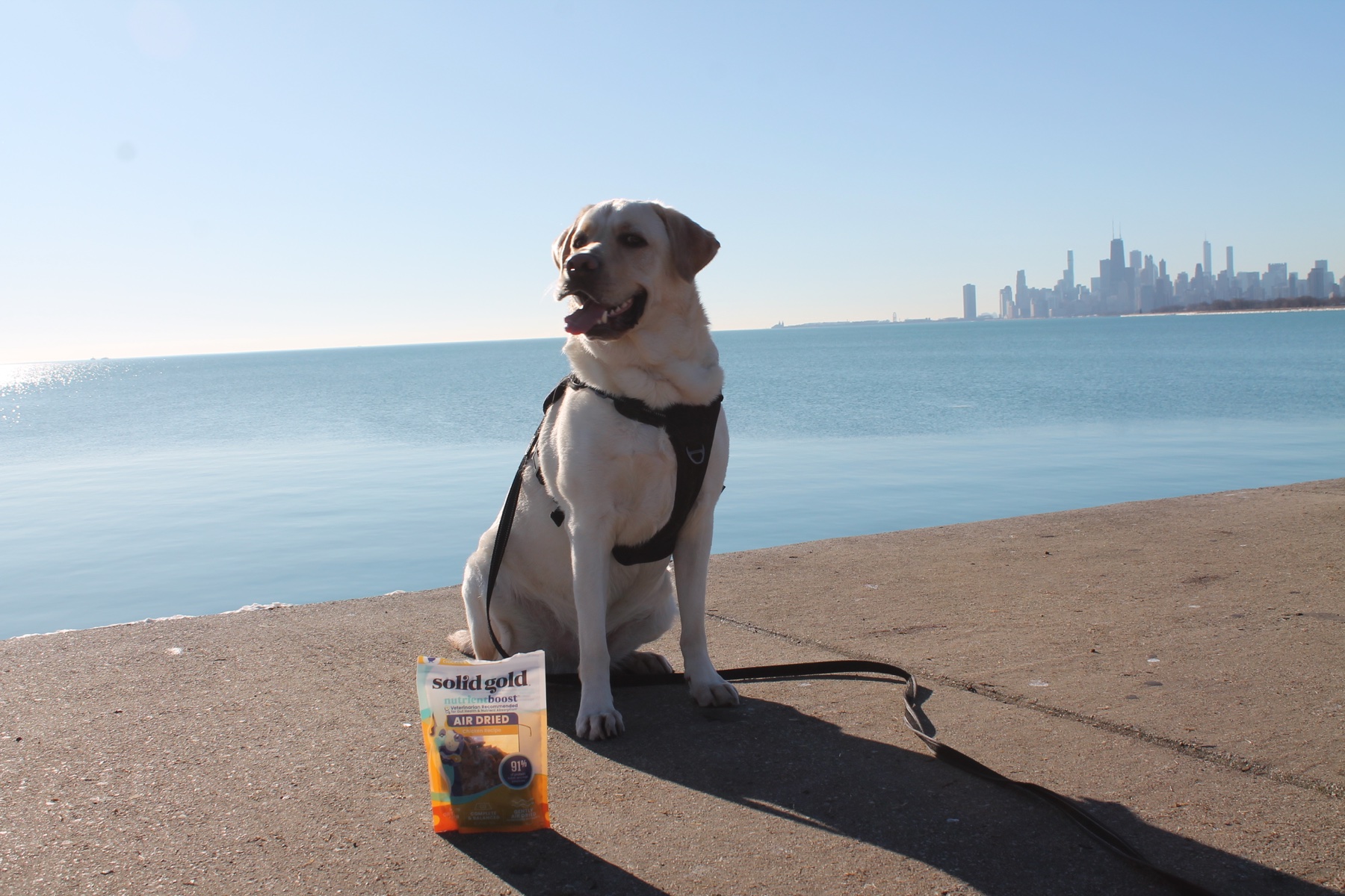 Disney with a Solid Gold pet nutrition product