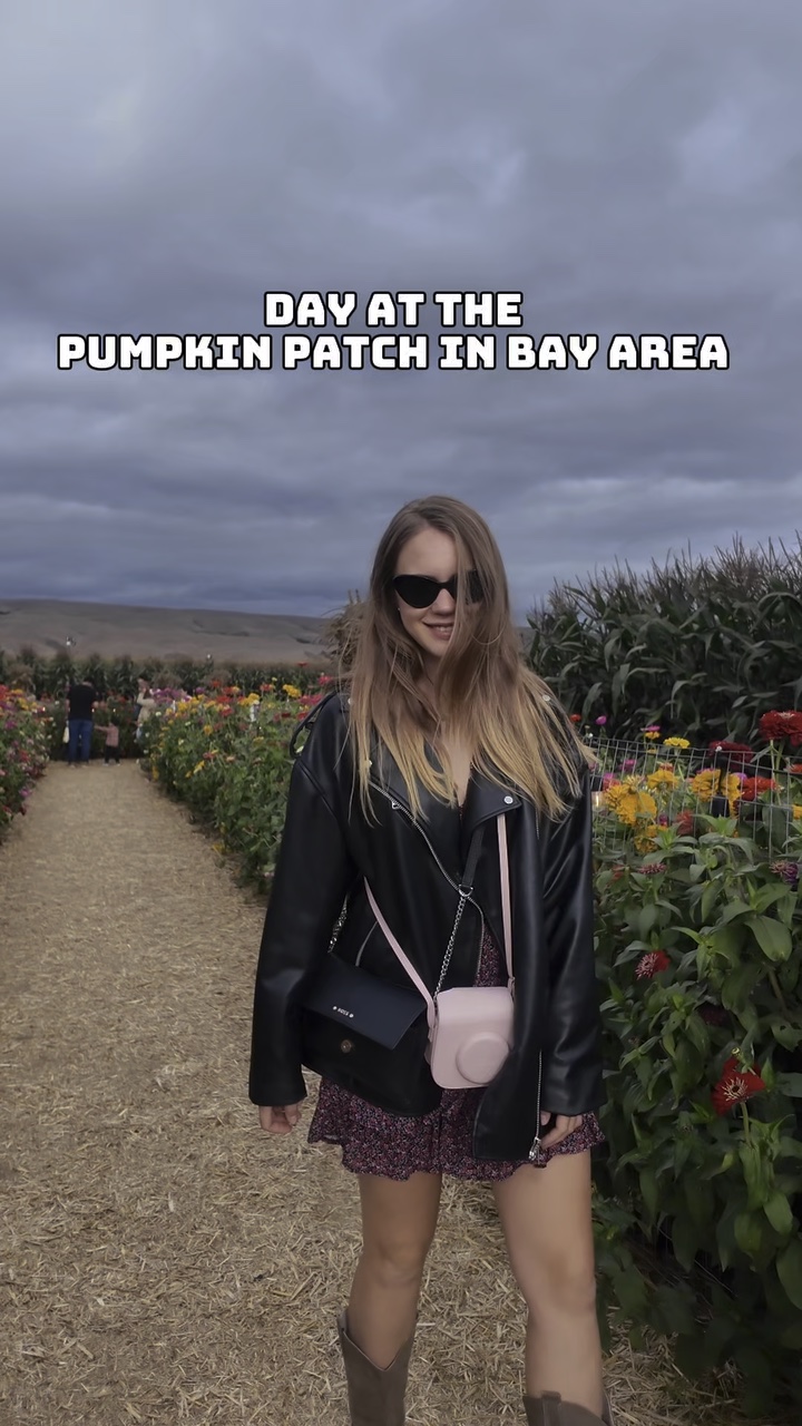 Bay Area Pumpkin Farm video cover